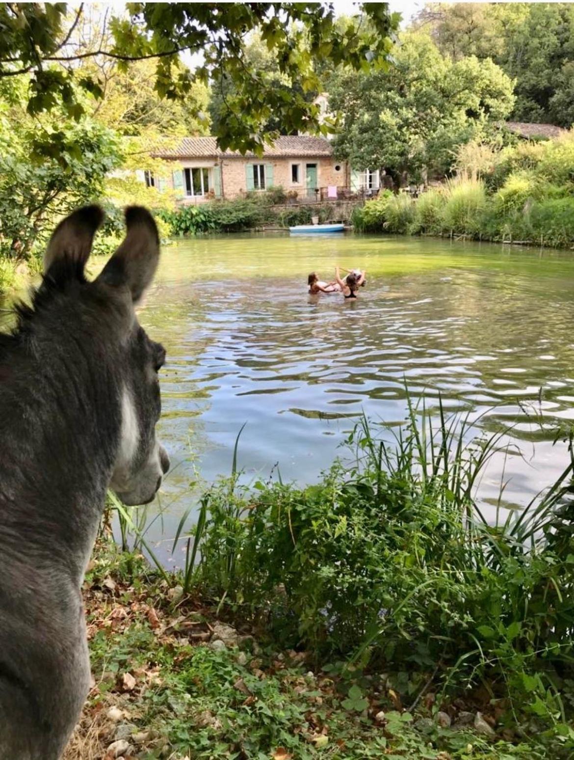 Le Moulin Haut Gîtes, Bien-Être et Permaculture Villeneuvette Extérieur photo